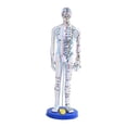 thumbnail image 2 of Milaget Chinese Medical Acupuncture Model Demonstration Learning Aid Height 15.7inch White, 2 of 9