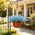 thumbnail image 4 of Hanging Planter Basket Suspended Pot For Green And Flowers Aerial Cultivation Home Decor And Includes Hanging Chain, 4 of 6
