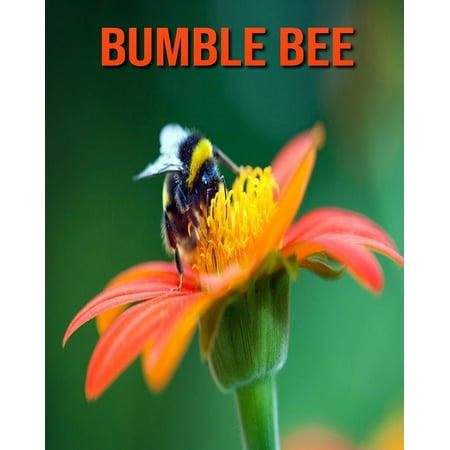 Bumble Bee : Learn About Bumble Bee and Enjoy Colorful Pictures (Paperback)