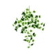 thumbnail image 2 of Decorar Planta artificial verde para colgar en la pared con 84 hojas,de plástico,para decoración de interiores en el hogar y la oficina (1 pieza). Rkxzt, 2 of 8