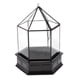 thumbnail image 2 of Caja Del de La Joyería Del Invernadero de Cristal, Negro de Las Plantas, Gran, 2 of 8