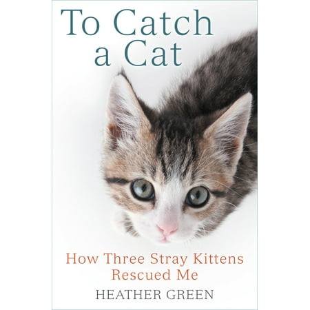 To Catch a Cat : How Three Stray Kittens Rescued (Best Way To Catch A Stray Cat)
