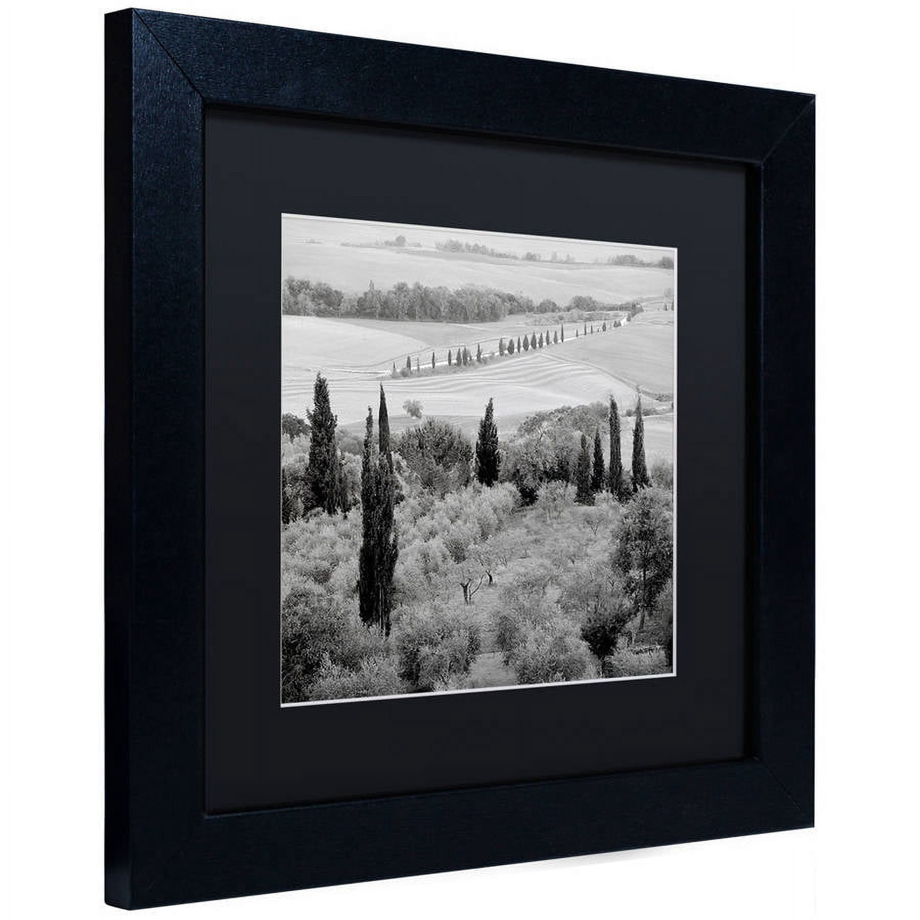 Trademark Fine Art "Tuscany X" Canvas Art by Alan Blaustein, Black Matte, Black Frame
