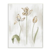 Stupell Industries Golden Irises Blooming over Neutral Beige Wall Plaque, 13 x 19, Design by Daphne Polselli