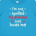 thumbnail image 4 of Inktastic I'm Not Spoiled My Grandpa Just Loves Me Boys or Girls Baby T-Shirt, 4 of 5