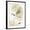 Black Frame, variant on Art.com Freshly Picked II Art Print by Isabelle Z, 12" x 16"