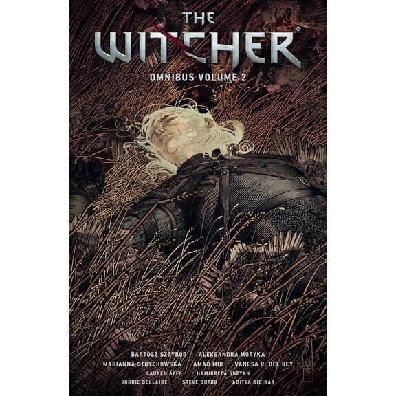 Collectible Witcher Omnibus Volume 2
