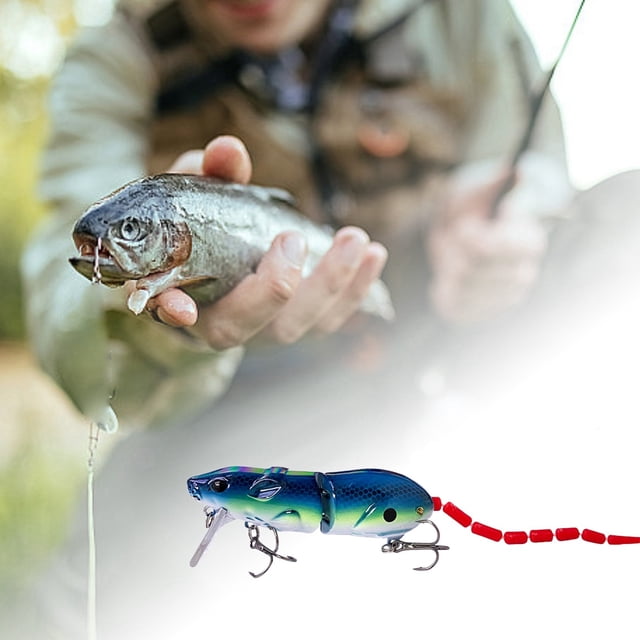 Riforla Leurres Réalistes 3D pour Truite et Poisson-Chat pour Eau Douce et Salée Appâts et Attracteurs