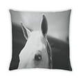 thumbnail image 2 of Ahgly Company Coussin d'Extérieur Animaux Cheval, 18 Pouces par 18 Pouces, 2 of 6