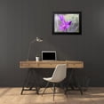 thumbnail image 4 of Popcorn 24x19 Black Modern Framed Museum Art Print Titled - Wildflowers XLXI, 4 of 5
