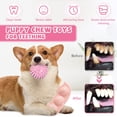 thumbnail image 4 of Juguetes masticables para cachorros ABRLO, paquete de 6 unidades, para la dentición de razas pequeñas, 4 of 7