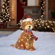 thumbnail image 1 of Holiday Living Christmas Led Light Up Fluffy Doodle Dogs Decor Gift, 1 of 5