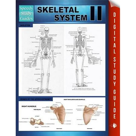 Skeletal System Ii Speedy Study Guides Ebook - 