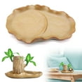 thumbnail image 2 of Brazil Lucky Wood Tray, Brazilian Wood Lucky Plants Tray Indoor Live, Wood Stump, Hydroponic Potted Plant, Lucky Plants Tray Indoor for Desktop, Home, 2 of 6