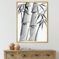thumbnail image 2 of Designart 'Vintage Black and White Bamboo IV' Traditional Framed Canvas Wall Art Print, 2 of 5