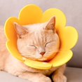thumbnail image 4 of BELOVING 2xCat Cône Collier de Protection Souple pour Animaux de Compagnie de Beauté Fournit S, 4 of 10
