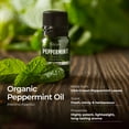 thumbnail image 3 of Gya Labs Organic Peppermint Essential Oil for Hair & Aromatherapy - (0.34 fl oz) - Premium Grade Natural Organic Peppermint Oil for Diffuser & Skin, 3 of 8