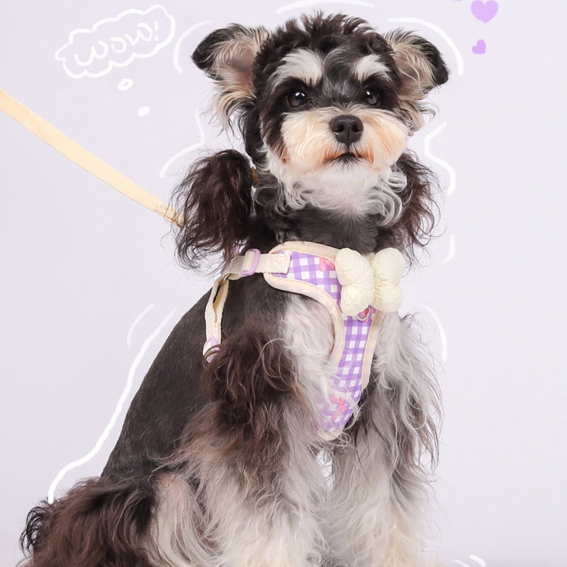 Small Dog Chest Harness with Bow, Cute Harness for Kitty Puppy Bunny,djustable Kitten Harness and Leash Set
