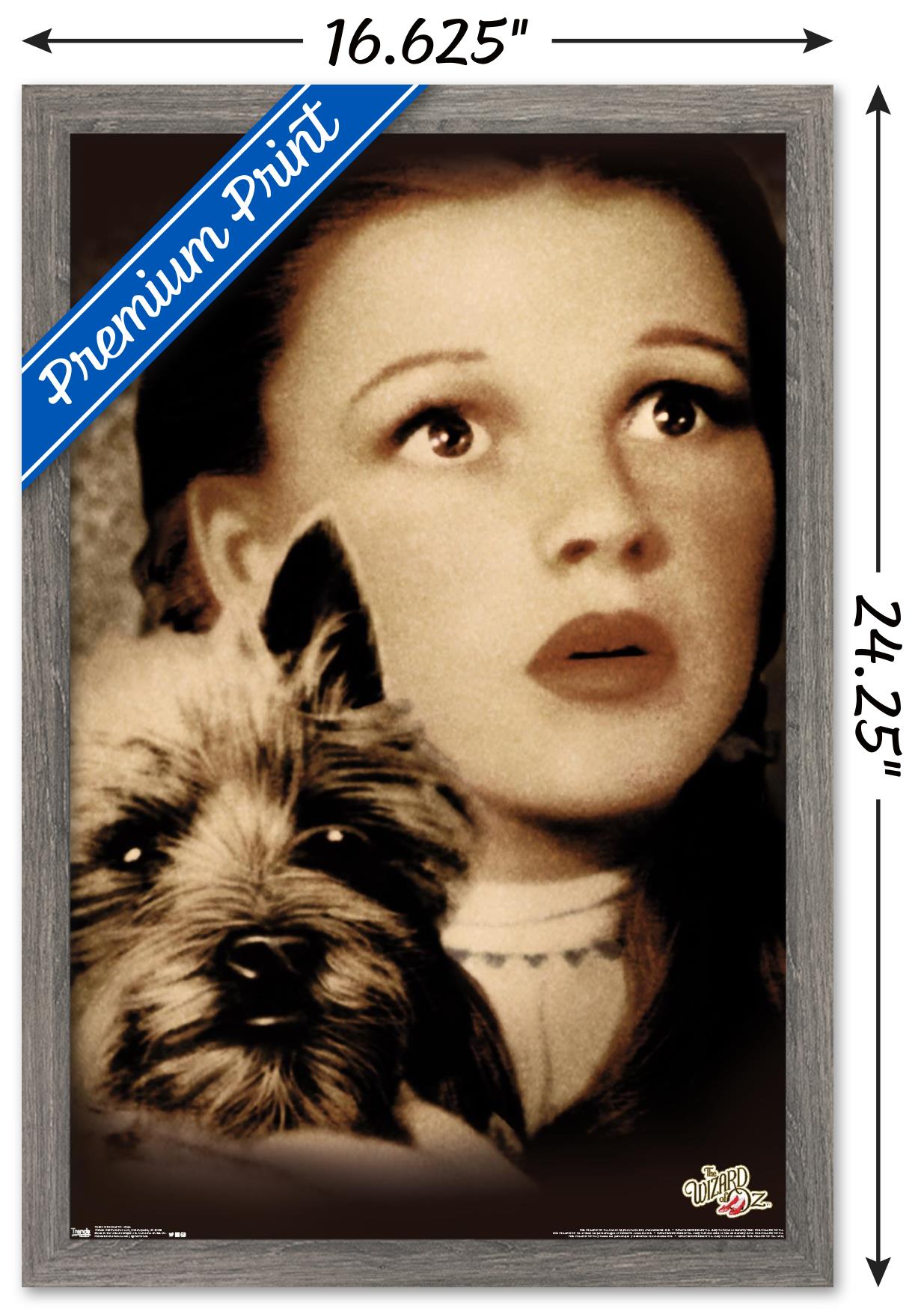 The Wizard Of Oz - Duo Wall Poster, 14.725" x 22.375", Framed