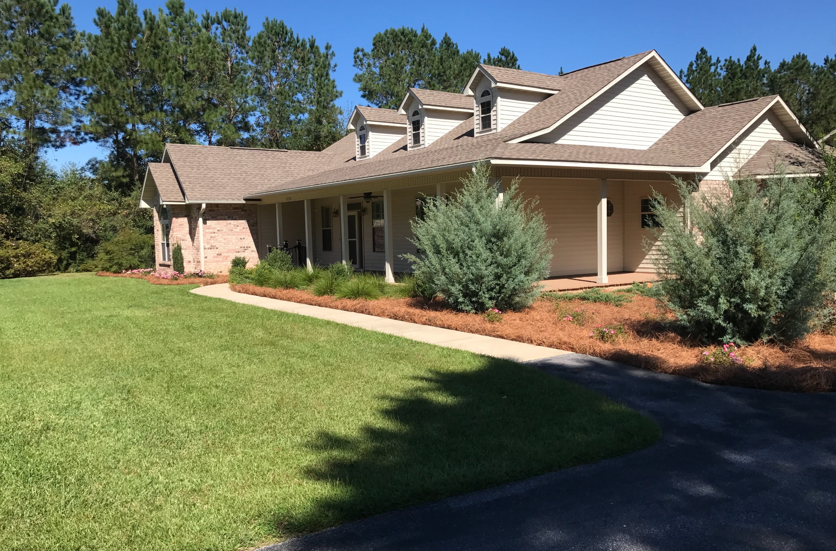 acdanc  Premium Long Needle | Pine Straw Mulch | Covers up to 2200 Sqft