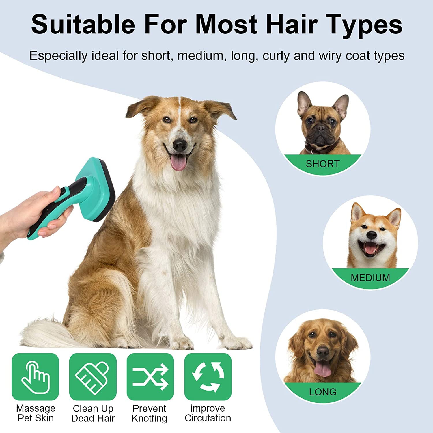 Dog brush for sensitive skin clearance