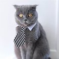 thumbnail image 4 of Adjustable Pets Dog Cat Neck Ties Pet Necktie，Tuxedo Costumes Grooming Accessories - shape1, 4 of 5