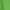 Green Lawn, variant on U.S. Polo Assn. Men's Graphic T-Shirt