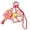 A, variant on Fun Money Design Resin Keychain for Individualized Styles and Easy Identification in Various Settings Holder Pendant