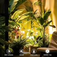 thumbnail image 2 of Wireless LED Spotlight Indoor, Rechargeable Battery Operated Floor Uplighting Indoor, Picture Light with Remote Timer and Dimmable, Accent Spot Lights Stick on Wall Light for Plants Pictures Artwork, 2 of 8