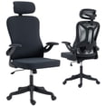 thumbnail image 1 of HOMCOM Ergonomic Office Chair, Desk Chair with Adjustable Headrest, Black, 1 of 10