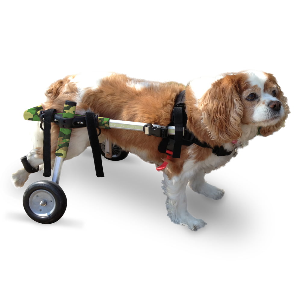 Dog Wheelchair For Small Dogs 825 lbs By Walkin