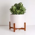 thumbnail image 1 of Peach & Pebble 10" Soft Pink Egg Shaped Planter + Medium Wood Stand, 1 of 3