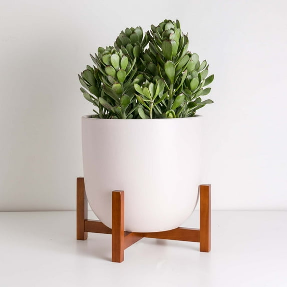 Peach & Pebble 10" Soft Pink Egg Shaped Planter + Medium Wood Stand