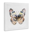 thumbnail image 2 of Stupell Industries Transitional Traditional Watercolor Butterfly Canvas Art, 17 x 17, by Kim Allen, 2 of 8