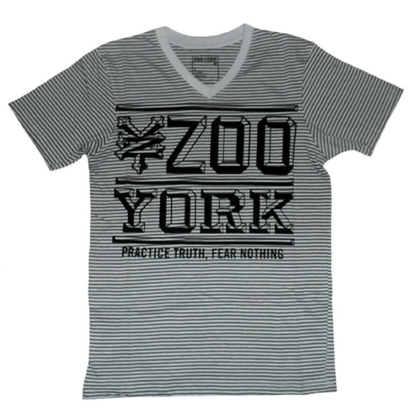 Zoo York Men's Gray Striped V-Neck "Practice Truth" T-Shirt (S)