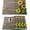 Sunflower Autumn, variant on Stripe Colorful Square Placemats Set of 6 Rectangle Table Mats Washable Heat-Resistant Place Mat for Kitchen Dining Table Decor Indoor Outdoor