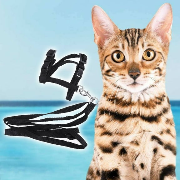 IBASETOY Cat Harness Escape Proof Cat Walking Harness Lightweight Black 1Pack