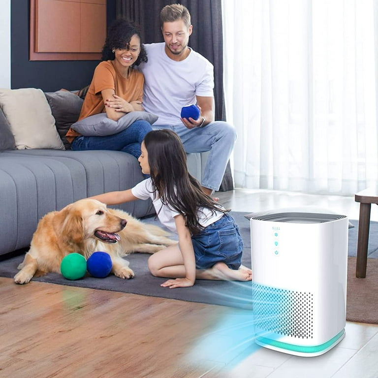 Hepa 14 filter air purifier deals