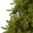 thumbnail image 4 of Nearly Natural 7.5ft. Washington Fir Artificial Christmas Tree with 600 Clear Lights and 1610 Bendable Branches, 4 of 10