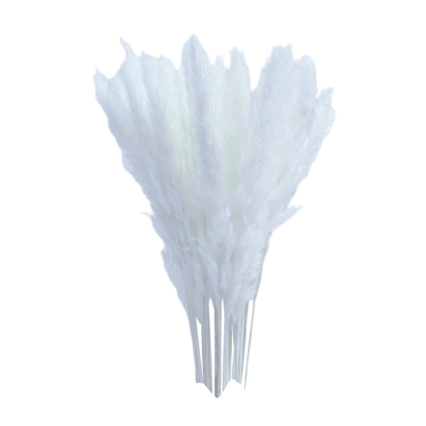Ramo de flores secas de hierba de la Pampa para decoración de mesa de bodas y fiestas en el hogar, estilo bohemio. blanco