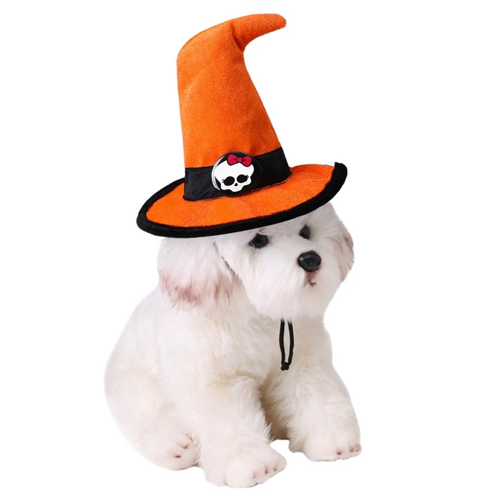 How To Put A Party Hat On A Dog