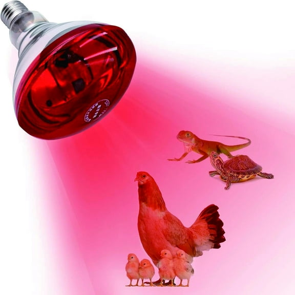 Infrared Light Bulb, 150W Infrared Heat Lamp for Poultry, Reptile Infrared Heating Lamp Bulb, Heat Lamp for Chicks, Reptile, Pets