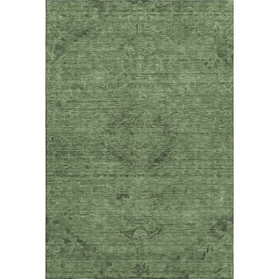Dalyn Rugs Premium Machine Washable Mayfield AMF1111 Fern 3' x 5' Rug
