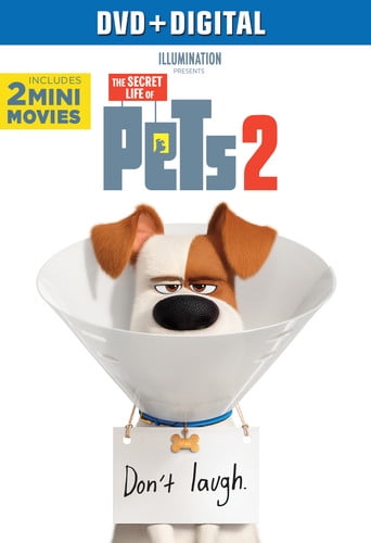 walmart secret life of pets movie walmart secret life of pets movie