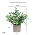 thumbnail image 1 of Juego de 1 mini plantas artificiales en macetas, plantas de eucalipto de plástico, plantas de romero sintético para el hogar, jardín, oficina, escritorio, ducha, decoraciónTipo A561 piece, 1 of 5