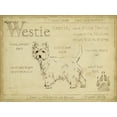 thumbnail image 2 of Harper, Ethan 14x12 Black Ornate Wood Framed with Double Matting Museum Art Print Titled - Antique Westie (ASH), 2 of 4