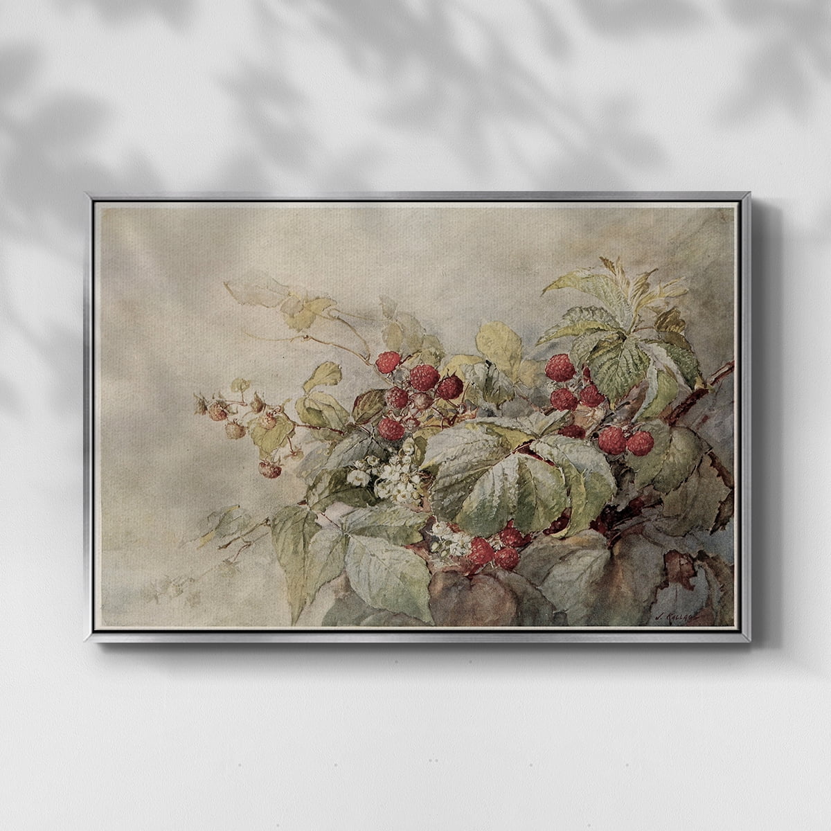 Vintage Botanical Print-V By Wexford Home Framed in Silver Wood Gallery Wrapped Canvas 25 in. x 37 in.