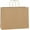 Brown, variant on 100 count 16x6x12   Paper Bags with Handles , Large Shopping Bags for Gifts, Grocery, Merchandise, Party Favor, Take-out,  White Paper Sacks