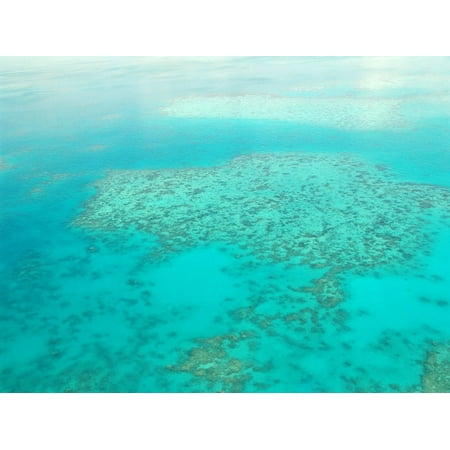Canvas Print Great Barrier Reef Coral Ocean Pacific Diving Stretched Canvas 10 x