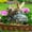 Multicolor, variant on Easter Bunny Décor Outdoor Statues - Rabbit Décor Garden Decorations Easter Rabbit Figurine Décor Couple Bunny Figurines Home Décor Resin Bunny Play on a Swing on The Tree 5L*2.5W*6.5H